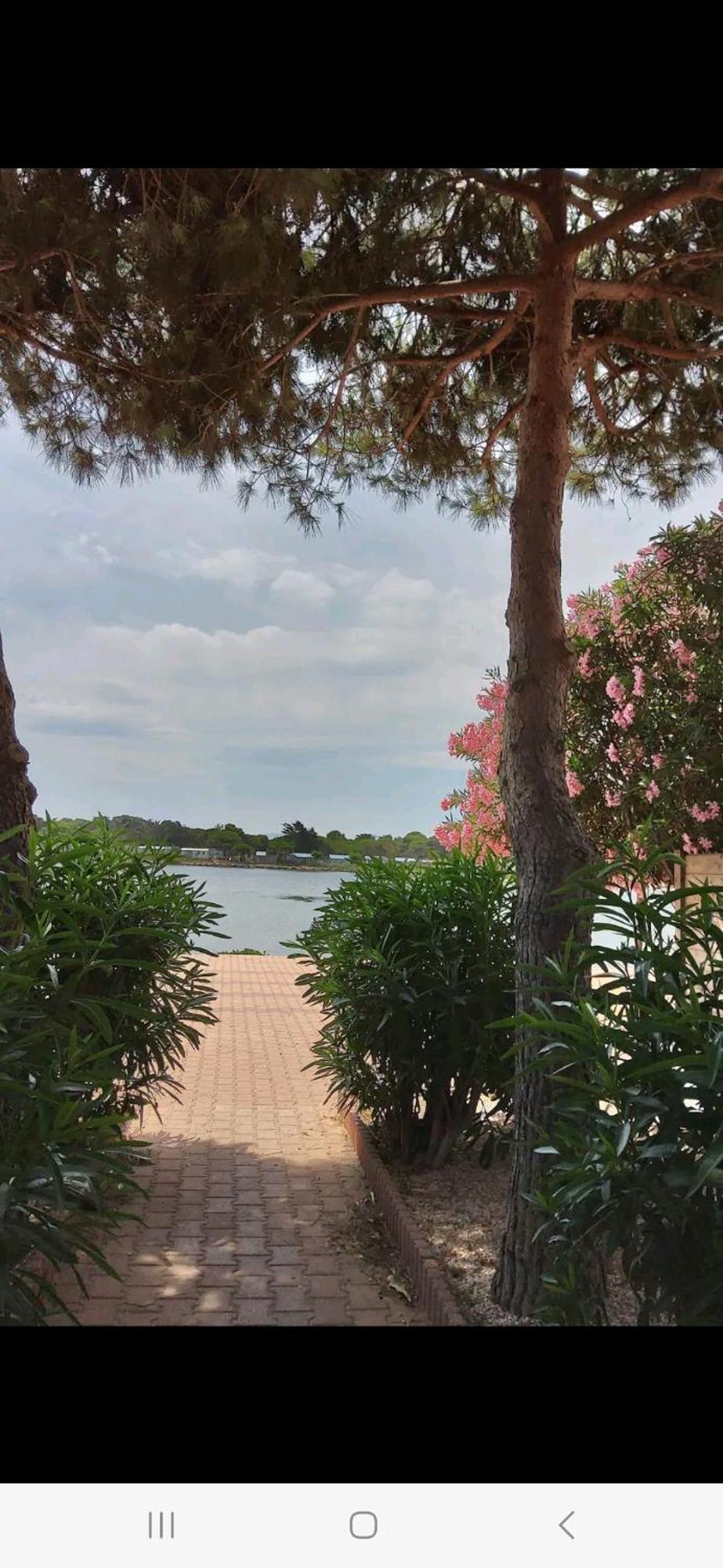 Villa 6P Piscine Spa Privatif Wifi Proche Des Plages Le Barcarès Екстериор снимка